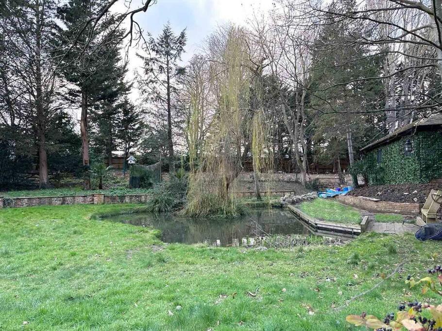 Forest Studio Apartment Gated Parking On 2 Acres Garden Chislehurst Eksteriør bilde