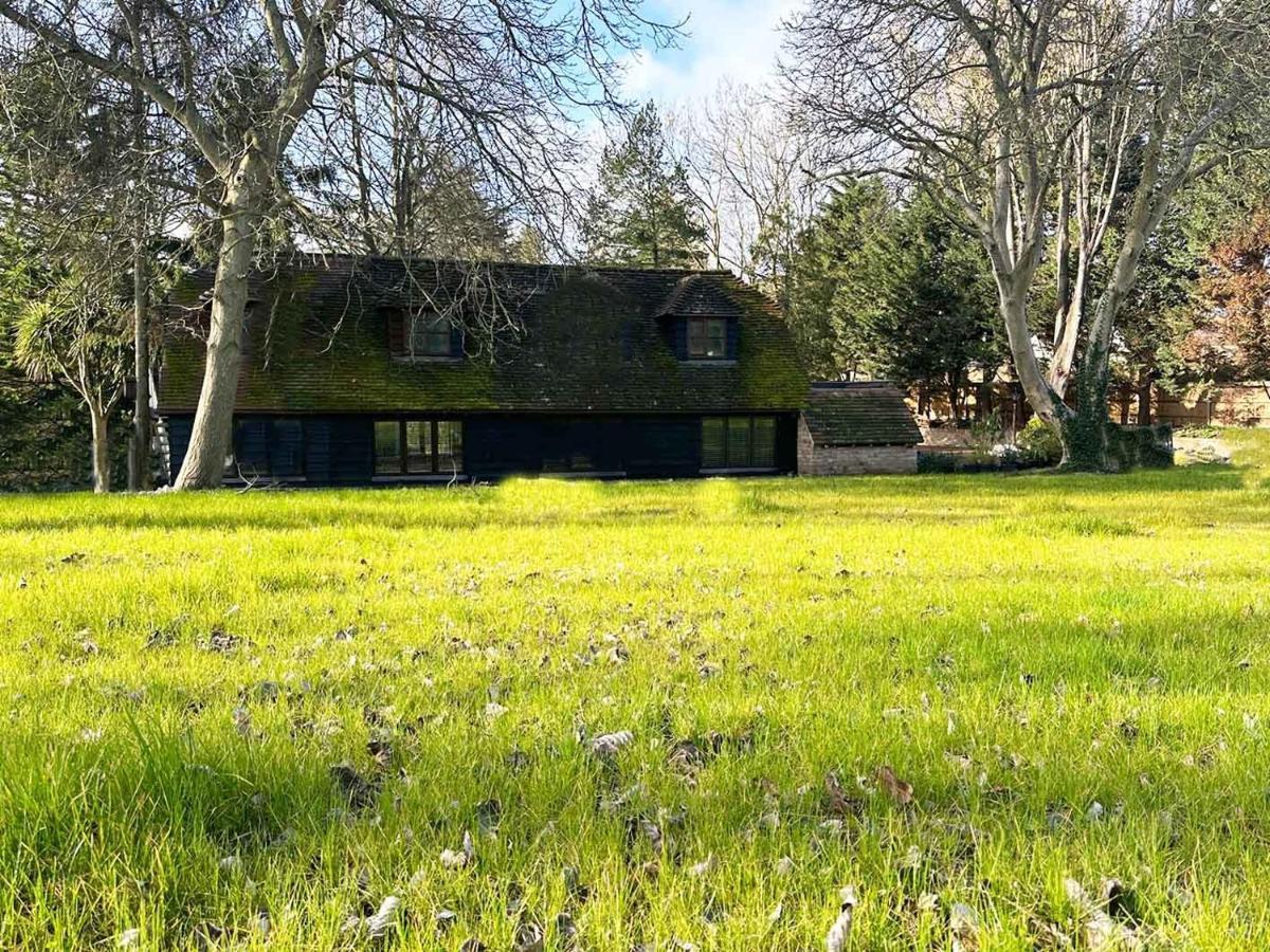 Forest Studio Apartment Gated Parking On 2 Acres Garden Chislehurst Eksteriør bilde